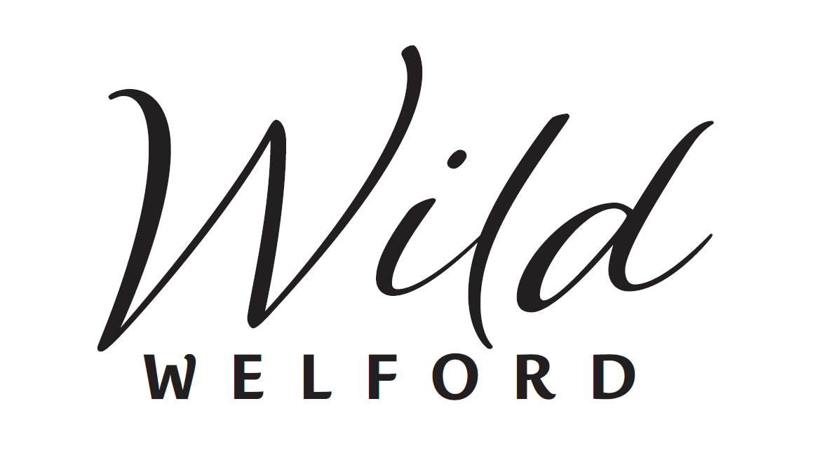 Wild Welford