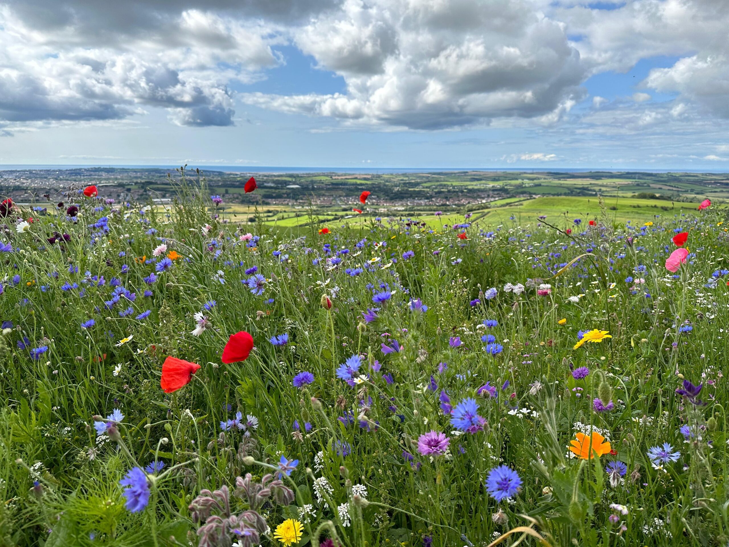 Getting things going